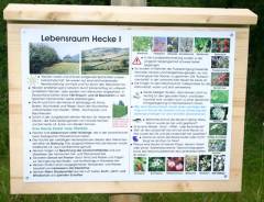 Naturerlebnisraum Rettenbach - Lebensraum Hecke, Bild 1