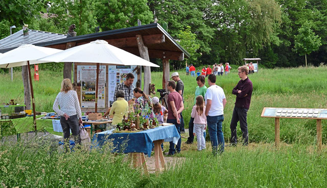 Grossansicht in neuem Fenster: Vom Treffpunkt beim Info-Pavillon am Färberanger ging es in Gruppen zum Naturerlebnispfad.