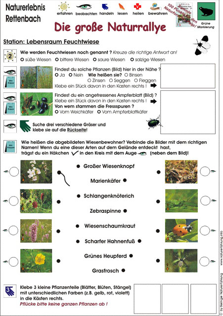 Grossansicht in neuem Fenster: Erkundungsbogen Große Naturrallye - Seite 1 - Muster