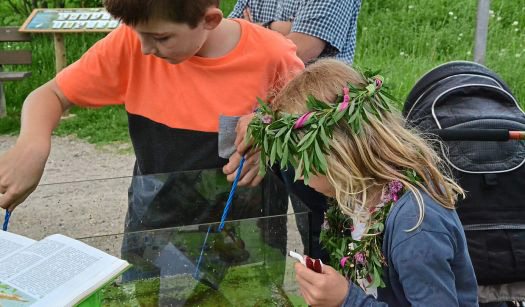 Grossansicht in neuem Fenster: Welche Tiere in der Vils leben, ließ sich gestern gut im Aquarium beobachten.