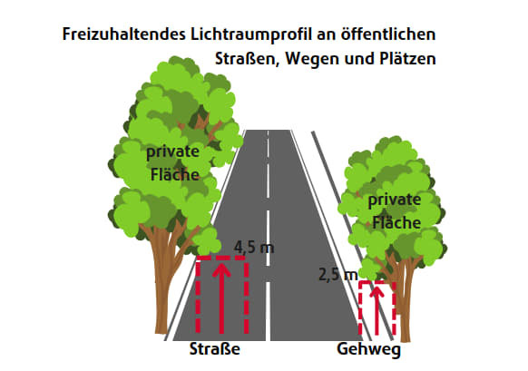 Grafik Freizuhaltendes Lichraumprofil an öffentlichen Straßen, Wegen und Plätzen